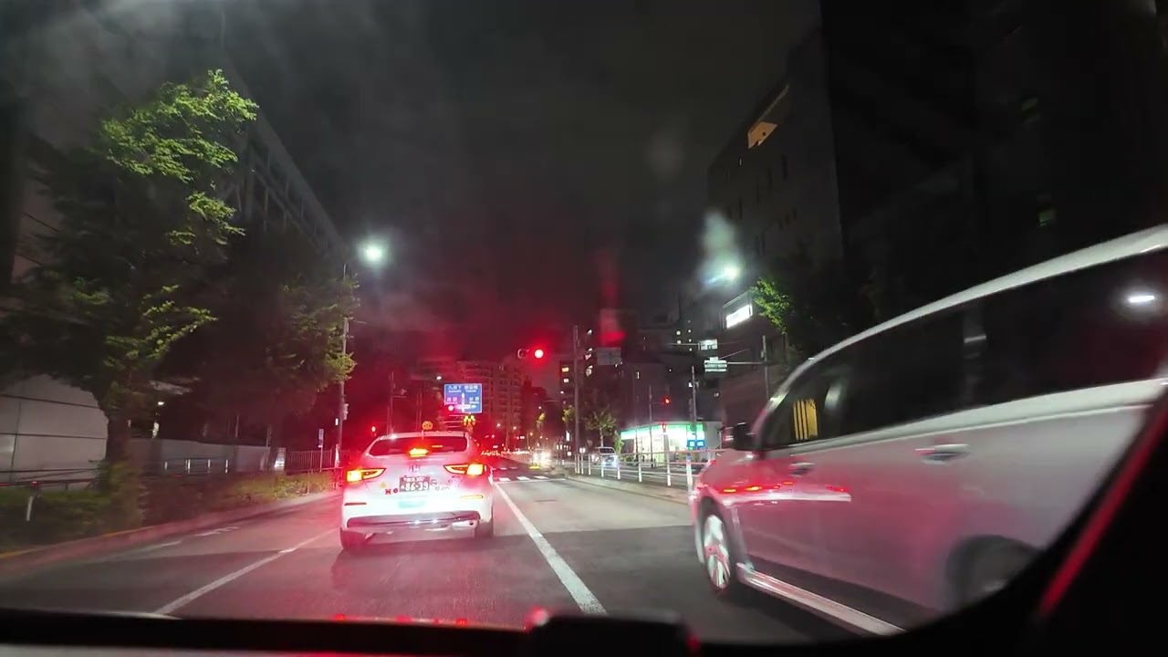 Tokyo Night Drive: Explore the Neon Lights of the City in Japan