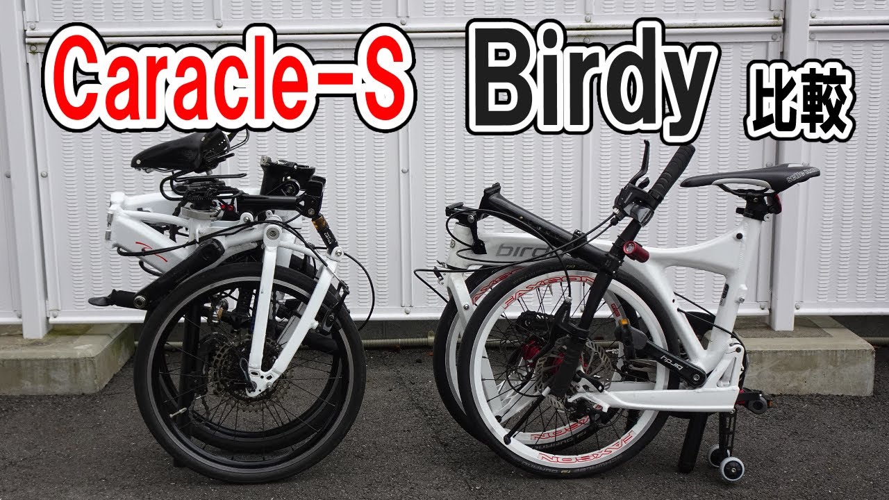 BirdyとCaracle-Sを比較してみました