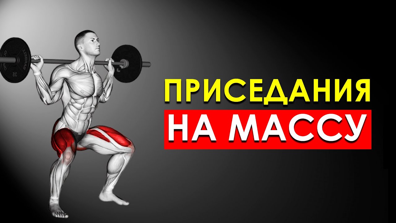 Сколько Нужно Приседать в День, Чтобы Набрать Мышечную Массу?