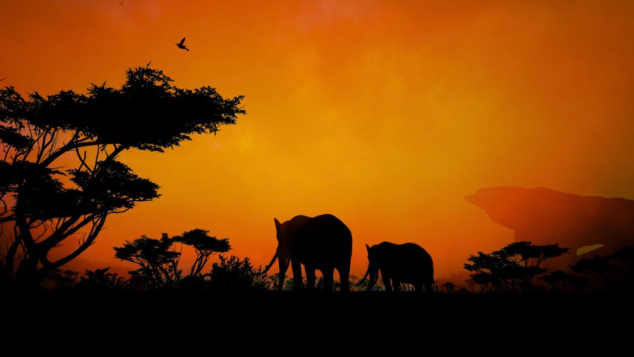 🐘 African Savanna Sunset — Peaceful Nature Sounds for Relax & Sleep (1 Hour)