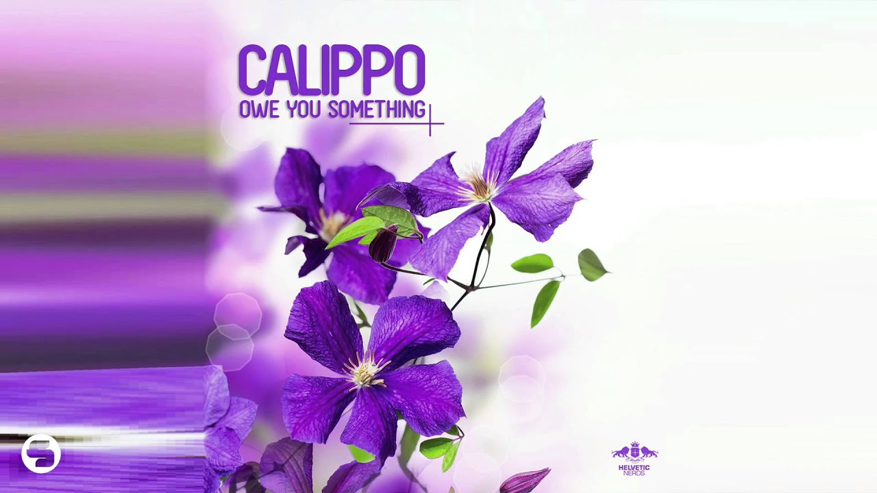 Calippo - Owe You Something (Radio Mix)