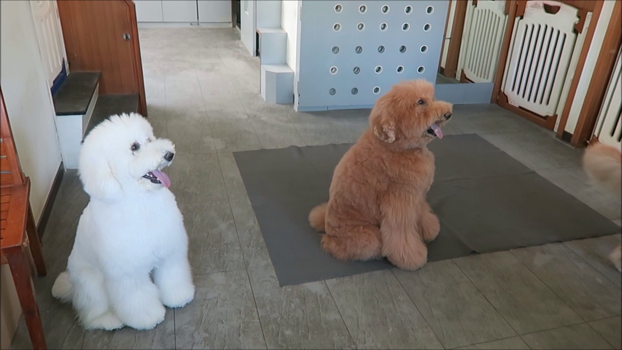 20170810  要有 