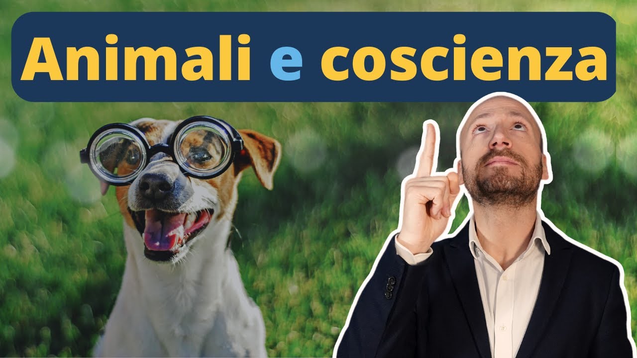 Gli Animali sono Coscienti?