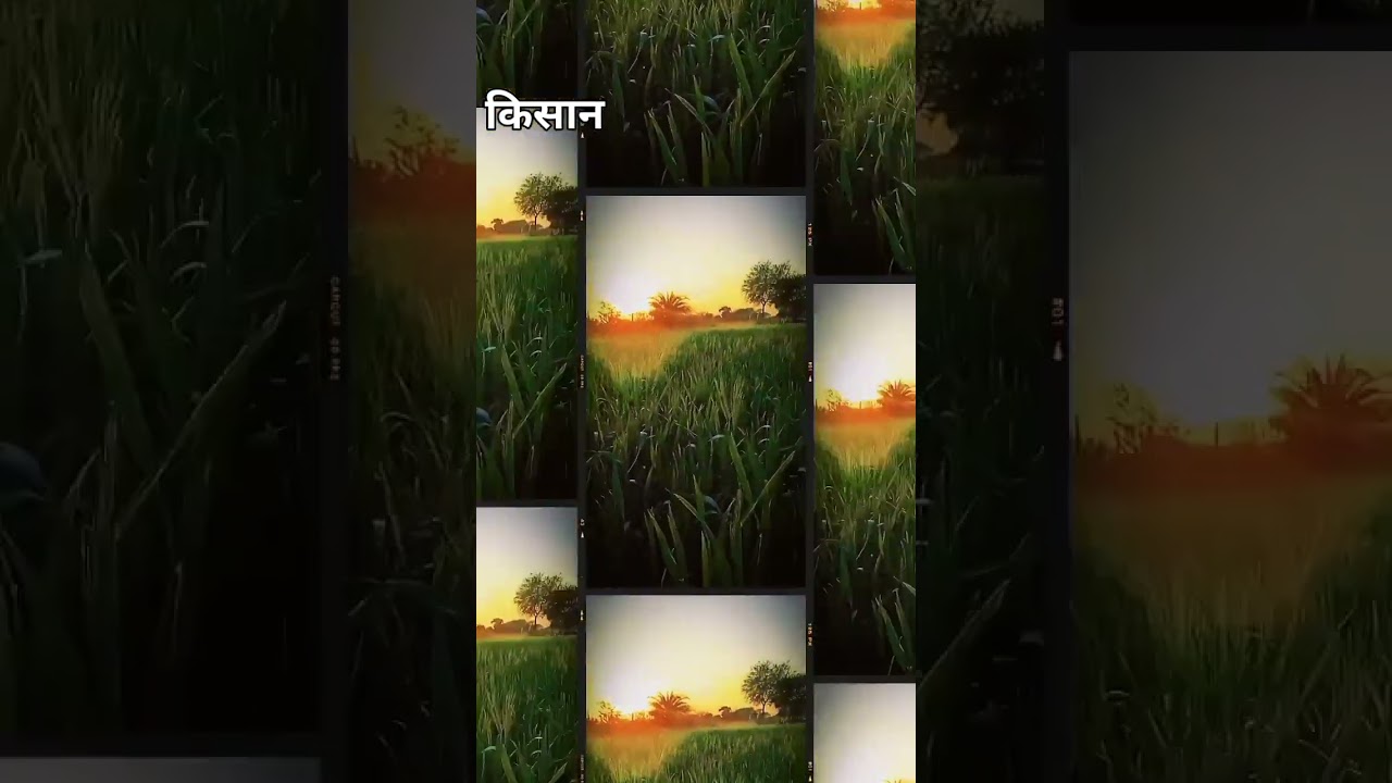Farming reel #nature shorts #tendingrls #farming #videogap