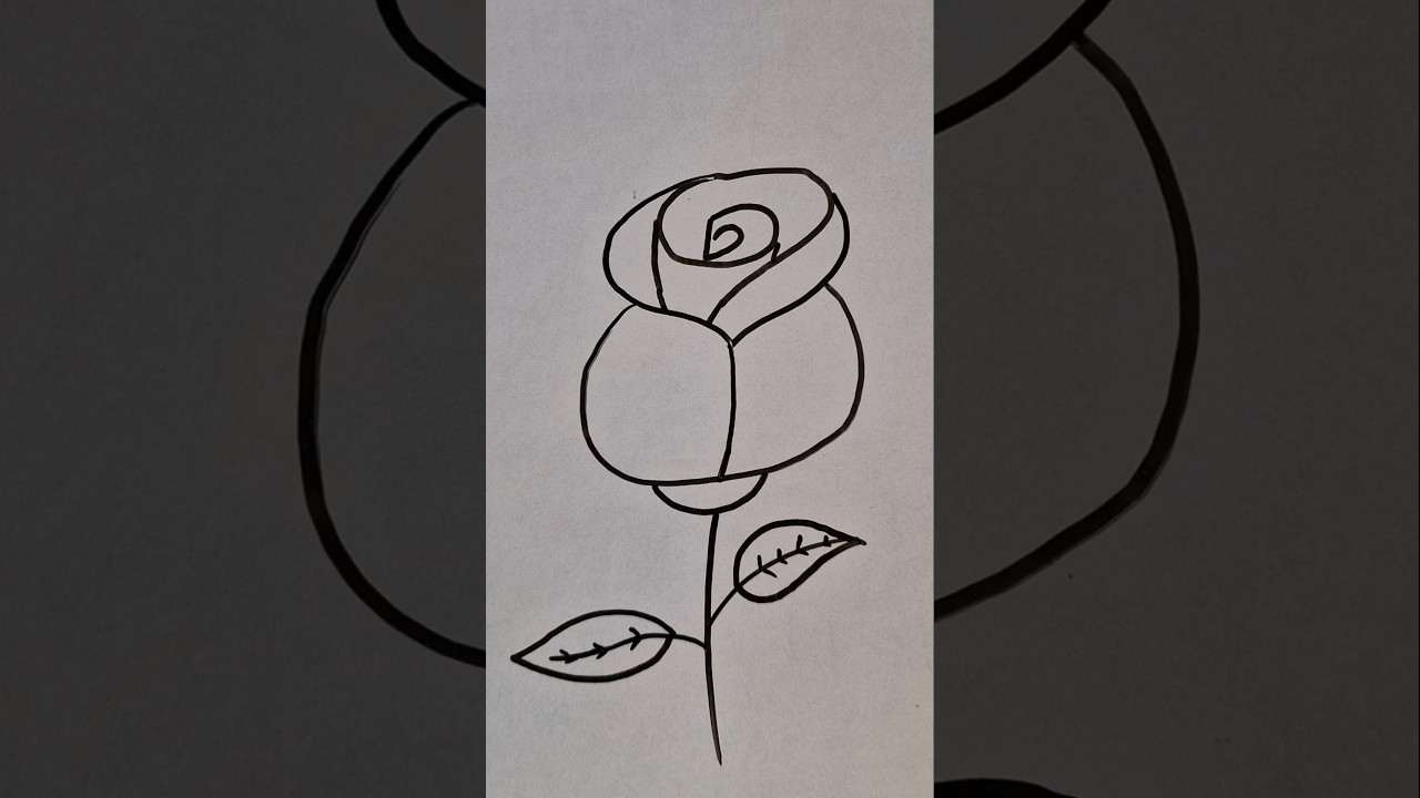 easy rose drawing 