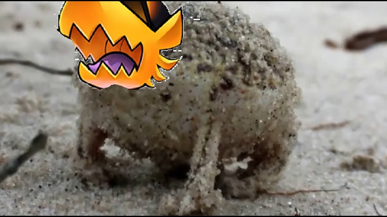 A very angry Conductor