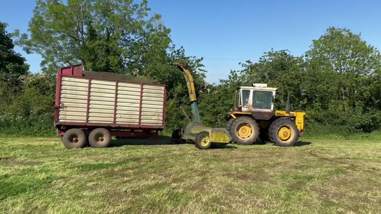 Classic MuirHill Tractor Harvesting Silage in the Sun