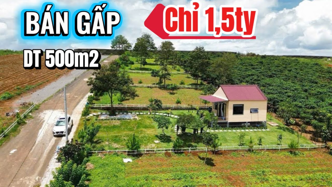 CHU GỬI BÁN CĂN HOMMETAY-diện tích 504m2 San 150m tc gia bán chi 1,5ty