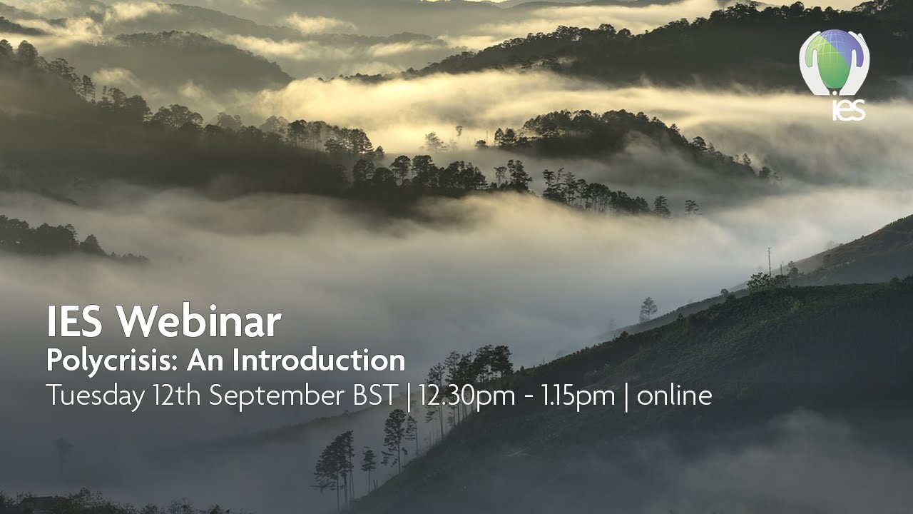 IES Webinar: The Polycrisis – An Introduction