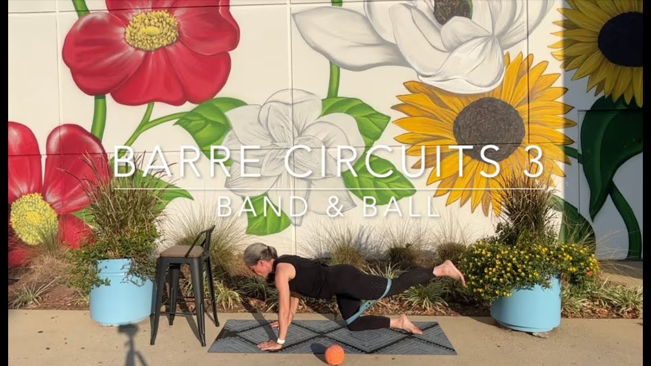 Barre Circuits 3