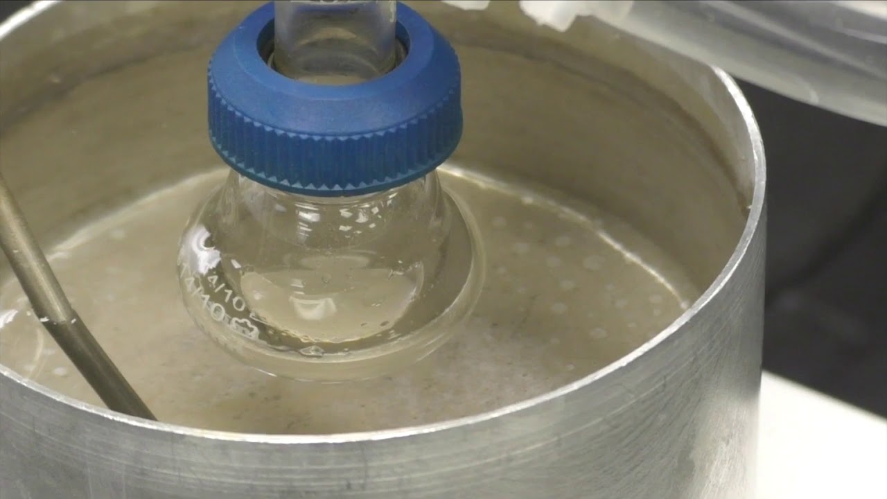 Fatty Acid Methy Esters from Triglycerides