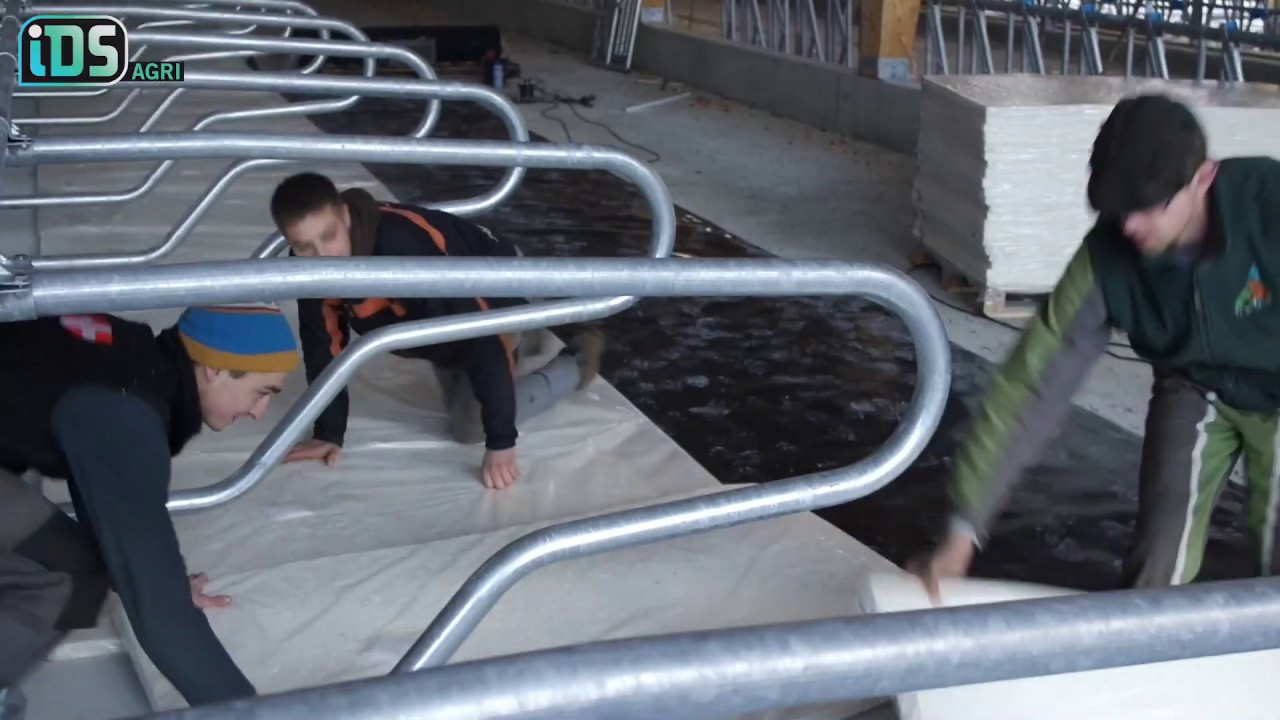 Natura freestall bed installation - IDS Agri