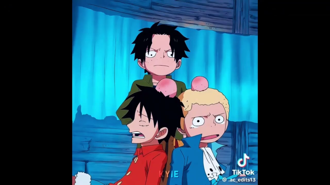 One Piece edits ~ TikTok Compilation #2