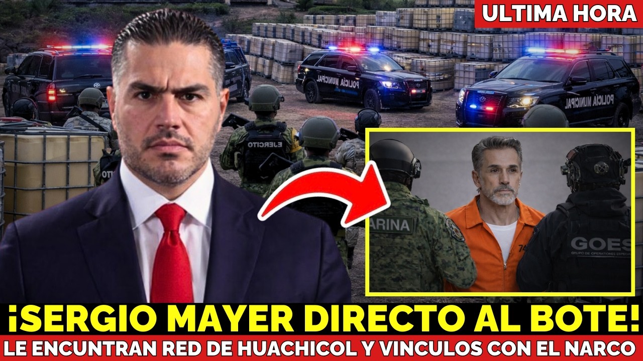 ¡Cae Sergio Mayer! Harfuch CAPTURA al Diputado Tras Encontrar una Red de HUACHICOL en su Propiedad