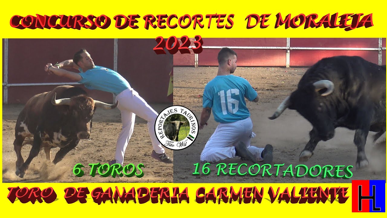 CONCURSO DE RECORTES DE MORALEJA 2023   6TOROS GANADERIA CARMEN VALIENTE #toro #moraleja #concurso