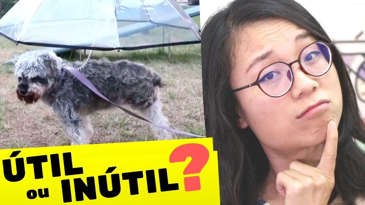 GUARDA-CHUVA DE CACHORRO: COMO ASSIM?! | Pula Muralha