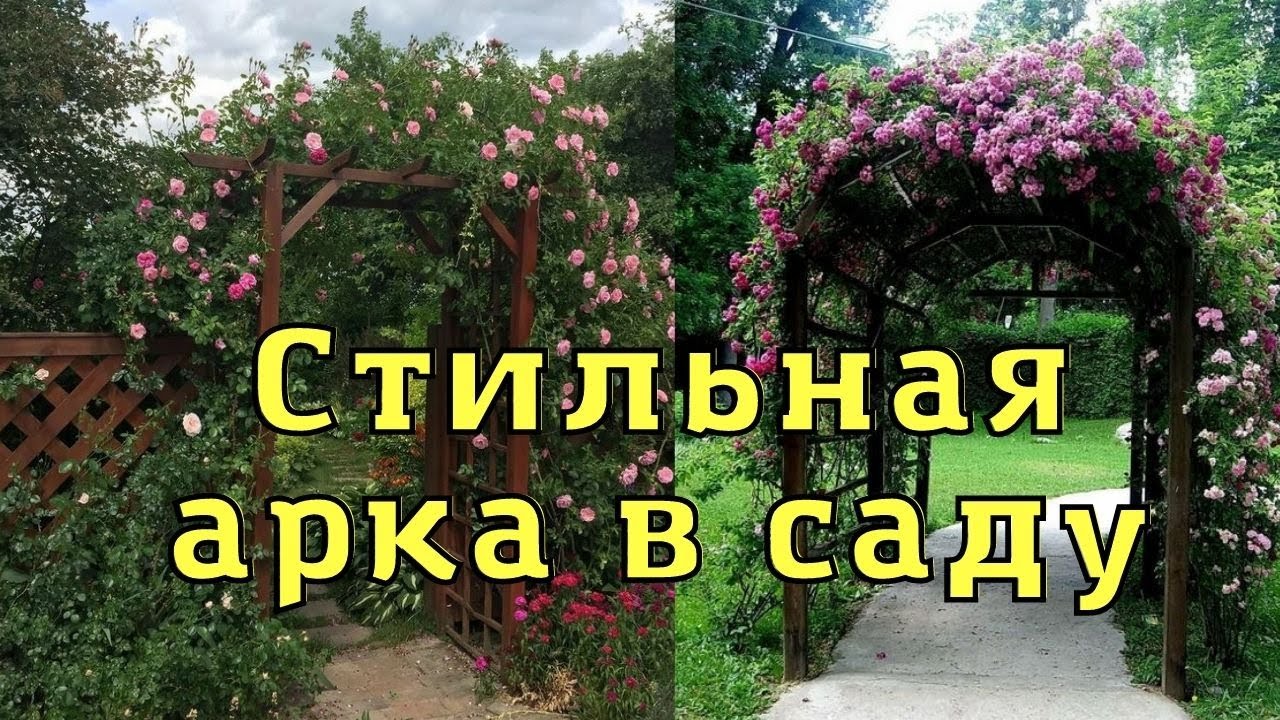 Арка и пергола в саду. Опора для вьющихся растений.