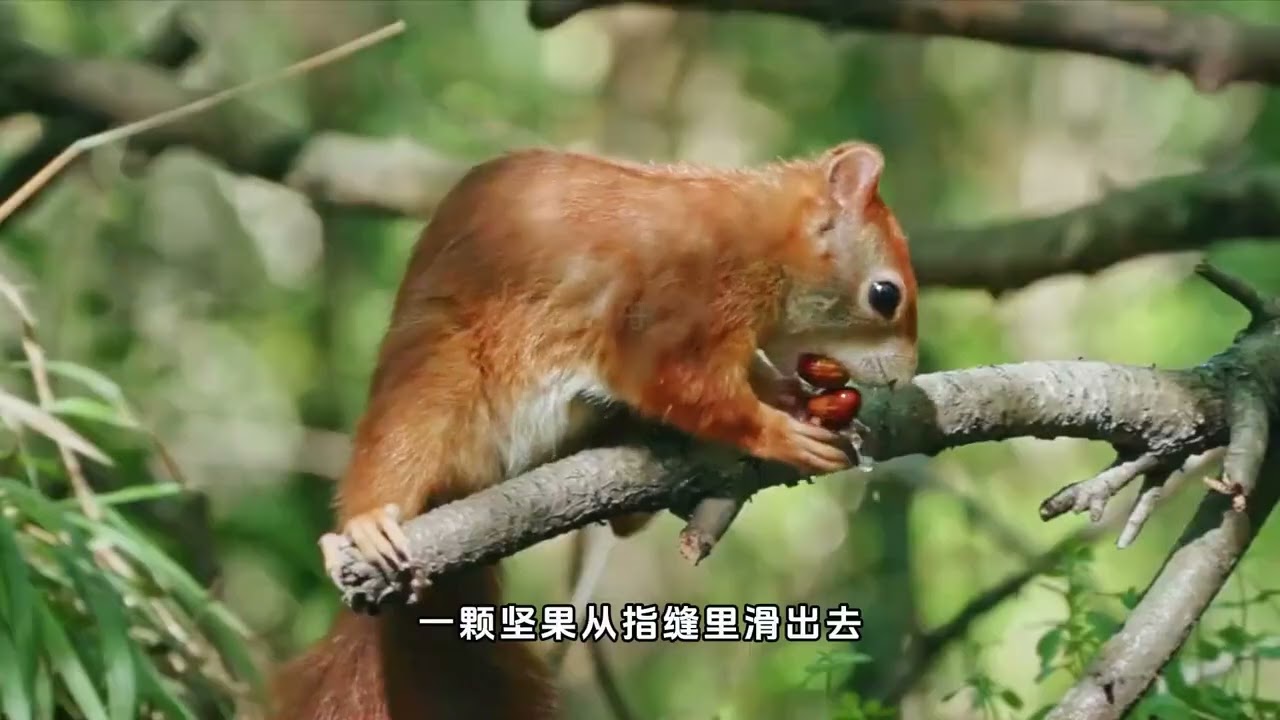 无条件的爱：母爱的火焰拥抱