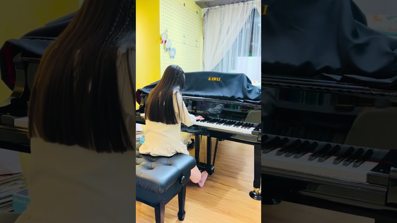 Chopin : Etude Op.25 No.1