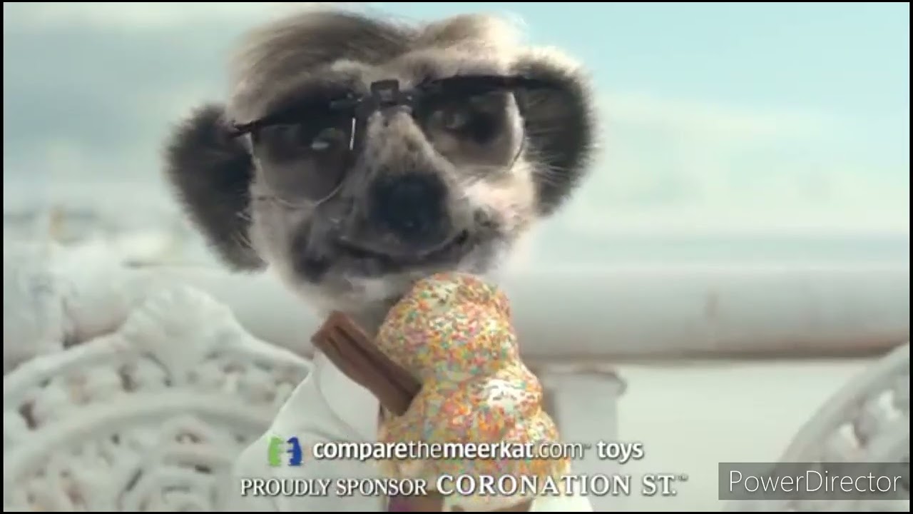 The Meerkats At Blackpool