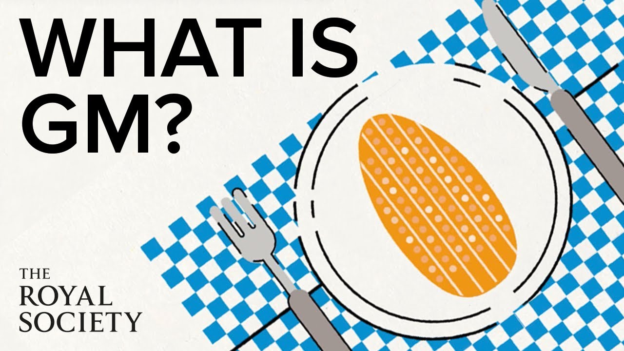 What is genetic modification? | The Royal Society