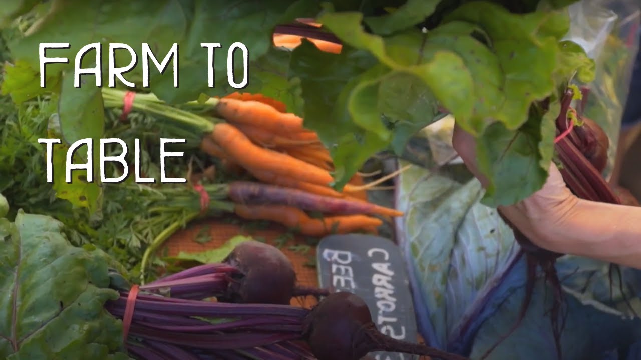 Regenerative Farm to Table on Vancouver Island - Explore Nanaimo 360&deg;