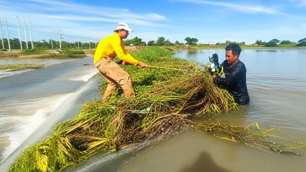 After Heavy Rain Remove Floating Plants Clogged Drain On Massive Dam To Canal