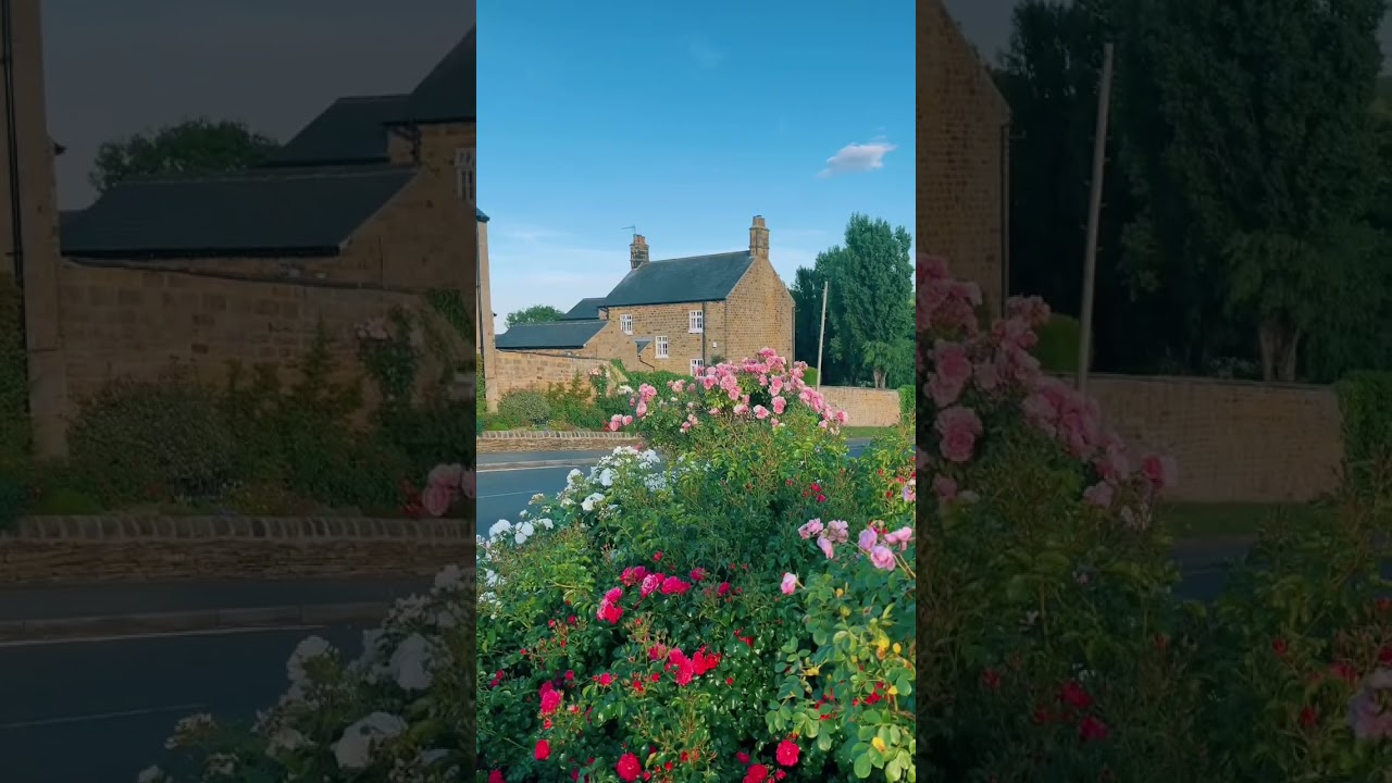 Sheffield, South Yorkshire, England 🏴󠁧󠁢󠁥󠁮󠁧󠁿🍃 | UK Travel | 🎥 by dpc_photography_