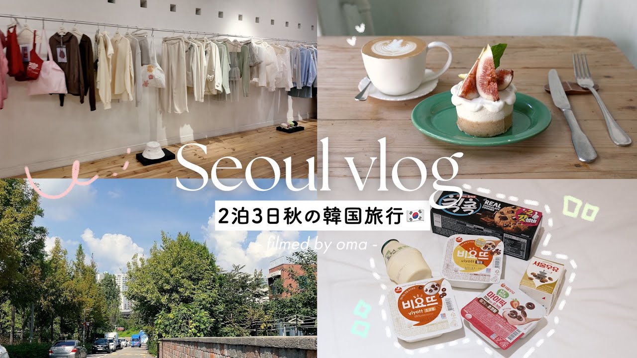 【韓国vlog】2泊3日秋のソウル旅🇰🇷🍂｜韓国旅行最新版｜人気スポット30カ所を巡る満喫プラン🛍️