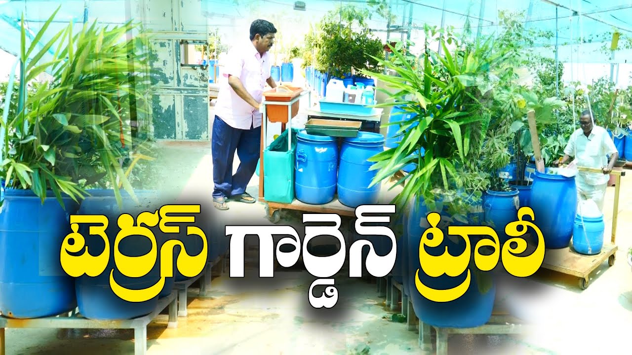 మిద్దెతోటలో ప్రతిమొక్క దగ్గరికీ ట్రాలీ || Trolly for Terrace Gardeners || V Ram Mohan Rao