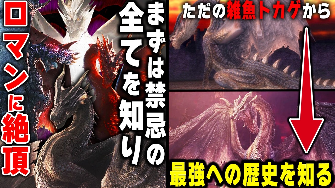 【歴代モンハン】禁忌全６体の全容を知り、禁忌代表黒龍ミラボレアスのゲーム中の扱いの歴史を徹底解説する総集編！【作業用BGM】