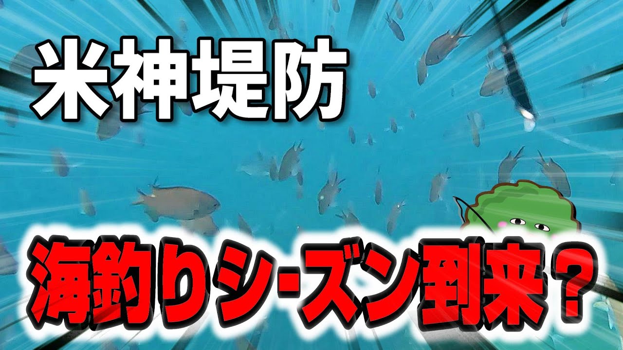 【米神堤防水中映像】海釣りシーズン到来？