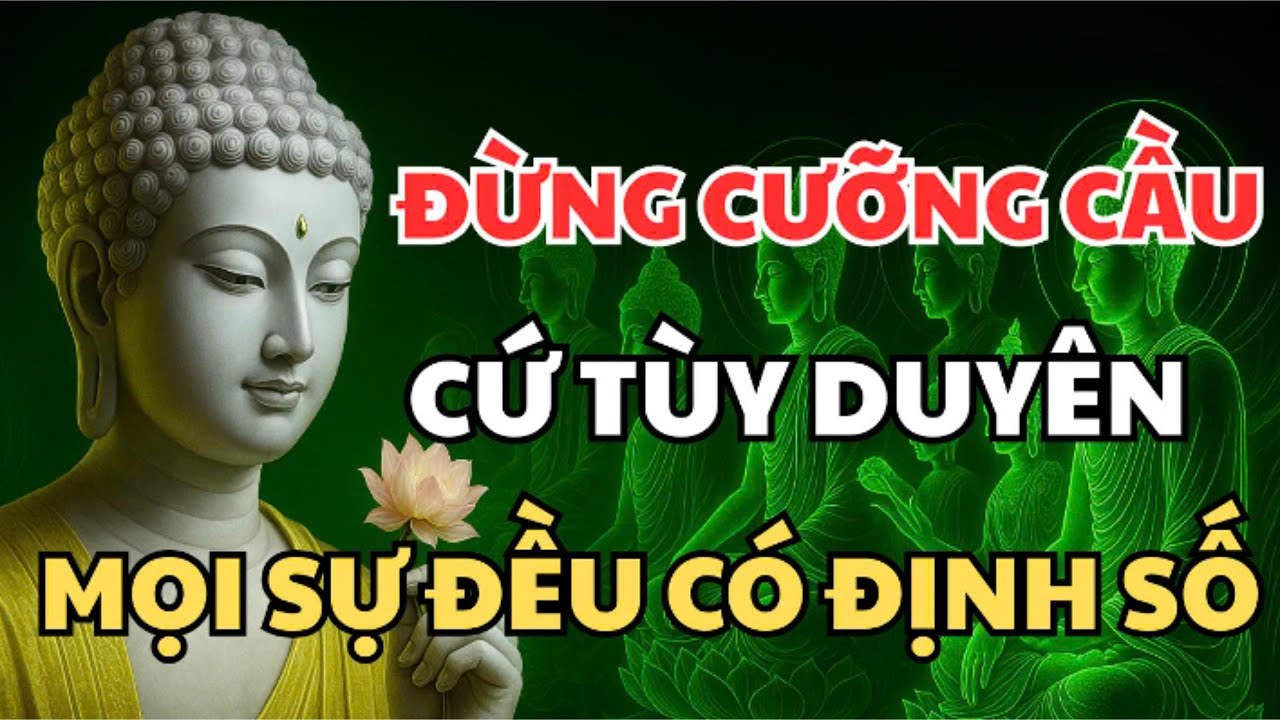 PHẬT DẠY: 7 ĐIỀU NGƯỜI SỐNG HIỀN HAY GẶP – HIỂU SỚM ĐỂ LÒNG NHẸ, PHƯỚC KHÔNG HAO| #audio