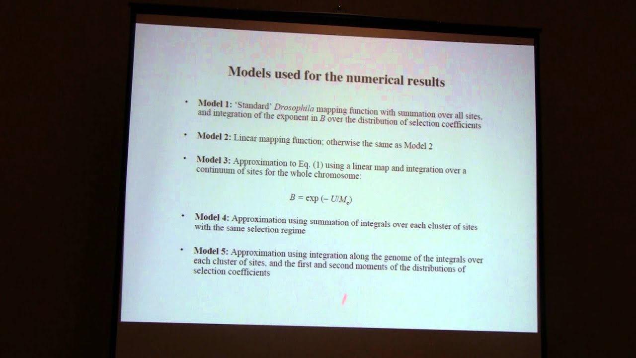 Background selection and patterns of molecular evolution and variation, part 2 of 2