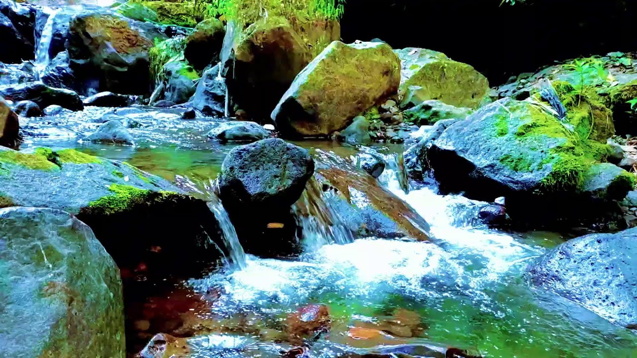 Pure Forest Ambience with Flowing River in Hidden Nature for Rest, Medicine and Deep Sleep