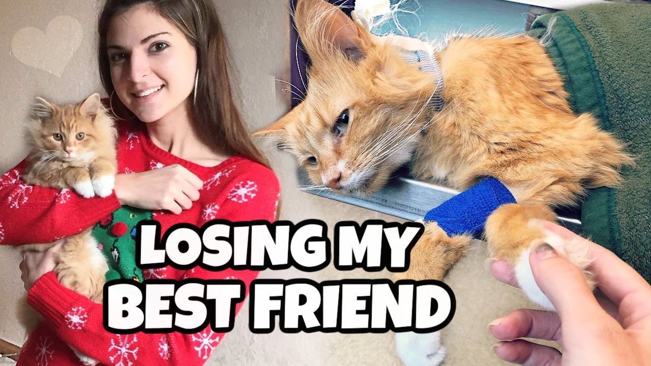 Saying Goodbye to Leo