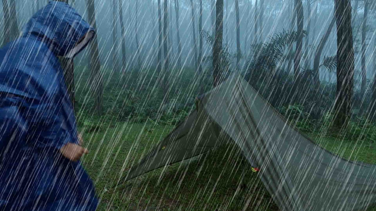 SOLO CAMPING IN HEAVY RAIN WITH THUNDERSTORM • TARP SURVIVAL SHELTER • COOKING CHICKEN IN THE TENT