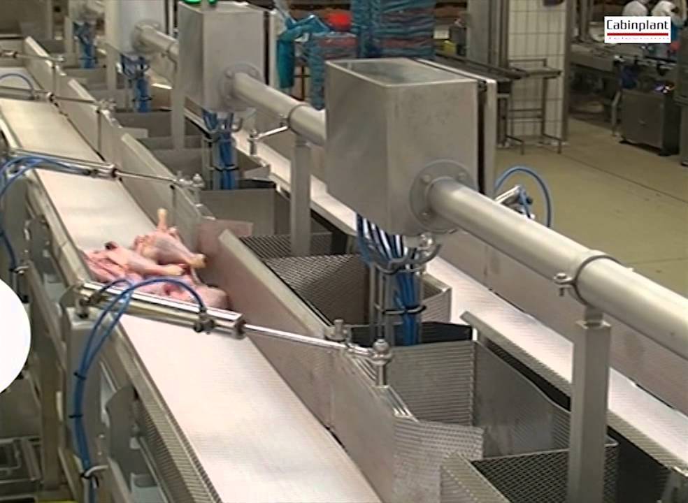 CABINPLANT Linea pesatura e confezionamento Pollame