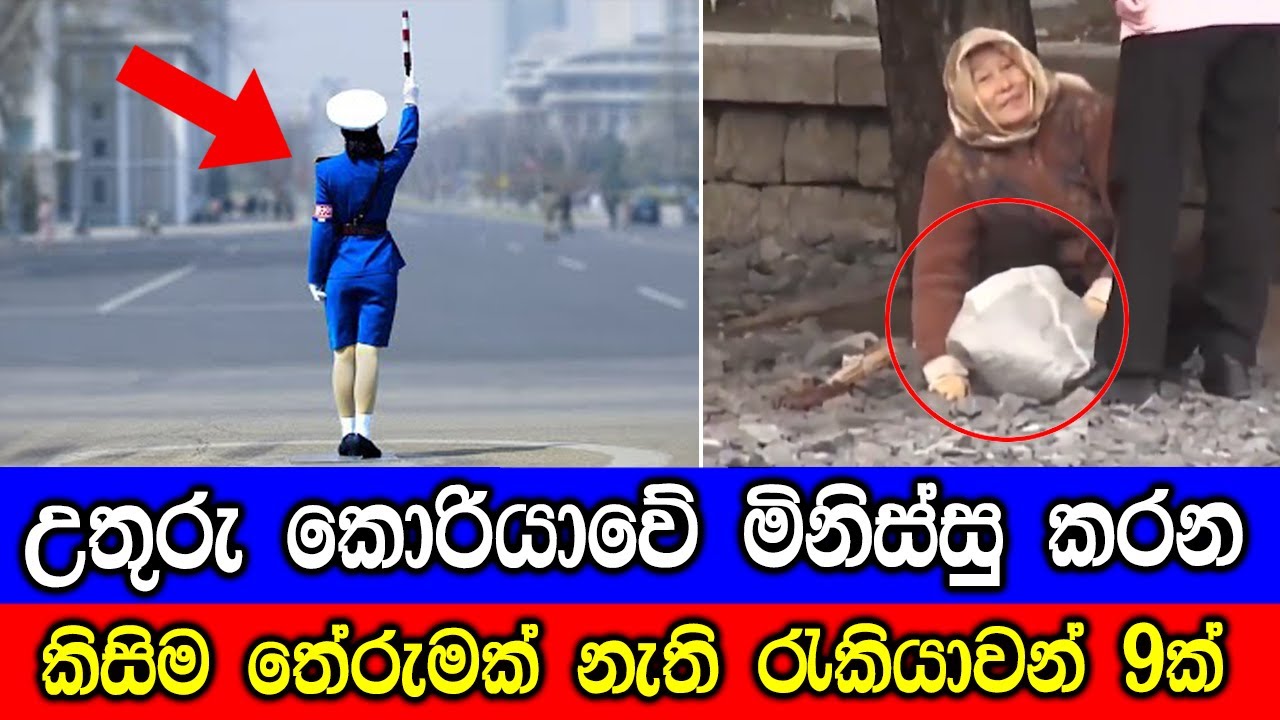 උතුරු කොරියාවේ මිනිස්සු කරන කිසිම තේරුමක් නැති පුදුම හිතෙන රැකියාවන් 9ක්. | 9 Useless Jobs.