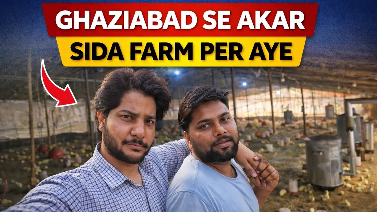 Ghaziabad Se Akar Sidha Farm Par Aaye | Poultry Farm Visit 🐥