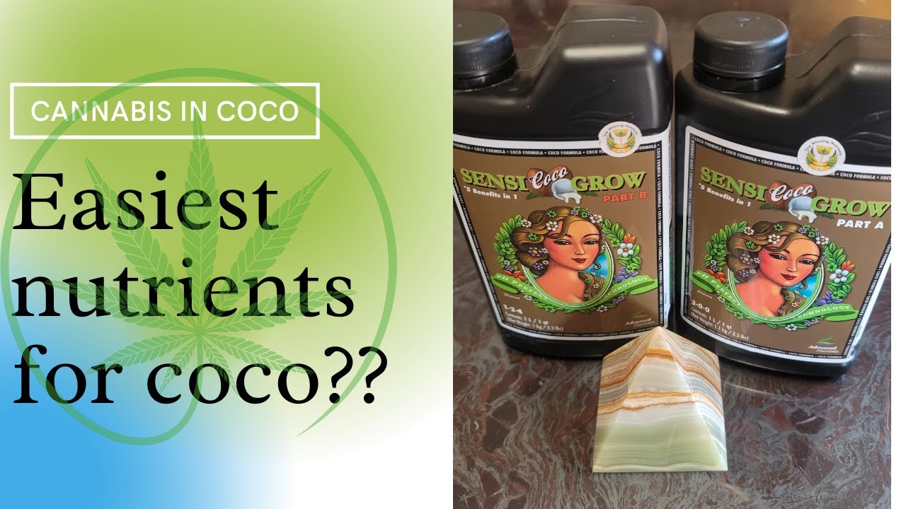 Easiest nutrients for beginner growers using coco?