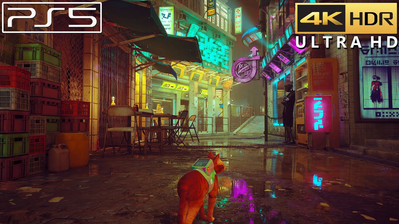 Stray (PS5) 4K 60FPS HDR Gameplay (Free Roam)