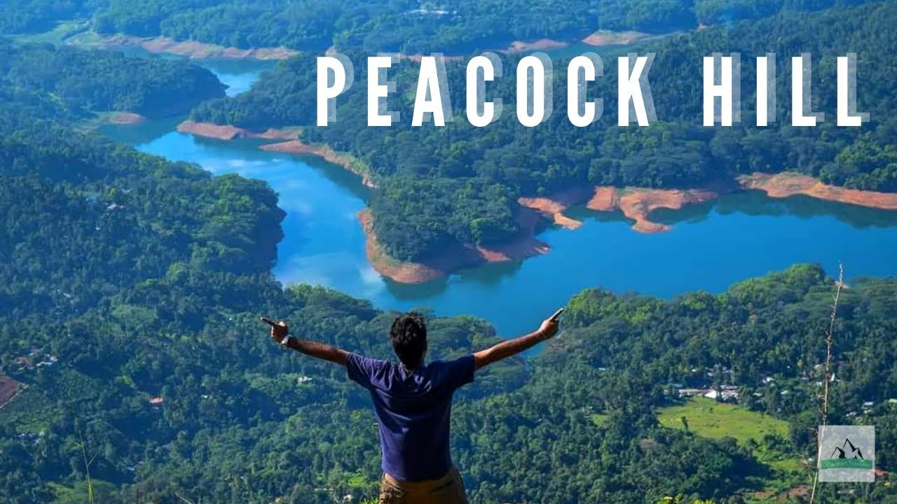 Peacock Hill Pussellawa Hike Above Clouds මොණරගලකන්ද | Monaragala Hike | Sri lanka | Travel Vlog #03