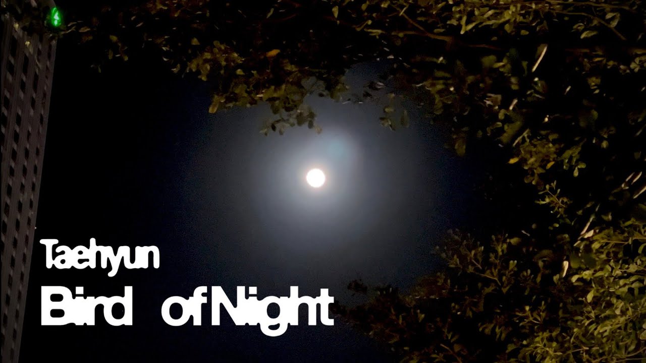 TXT 〈bird of night〉 2025冬學 專案MV拍攝