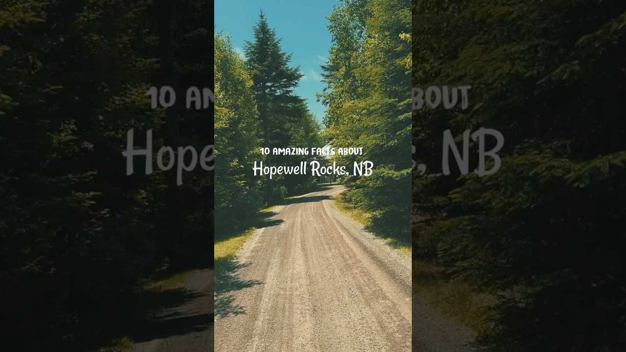 Sculpted by the Tides: A Day at Hopewell Rocks 🇨🇦