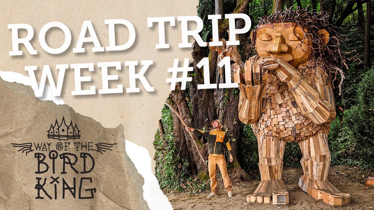 USA Road Trip #11 - TALKING WITH AN ORCA