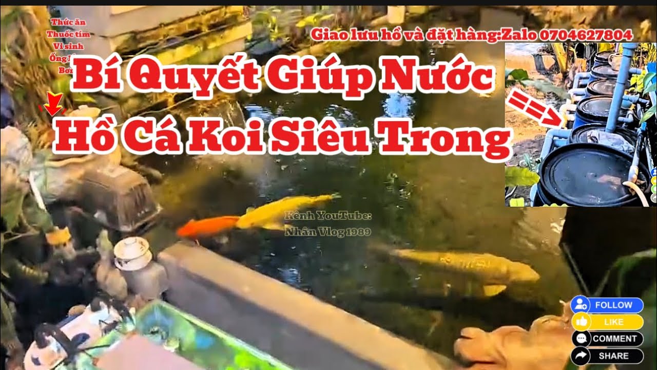 Bộ Lọc Hồ Cá Koi Tự Chế Tại Nhà Lọc Siêu Sạch - Những Cách Làm Lọc Hiệu Quả Đơn Giản.Hồ Của Anh Tý.