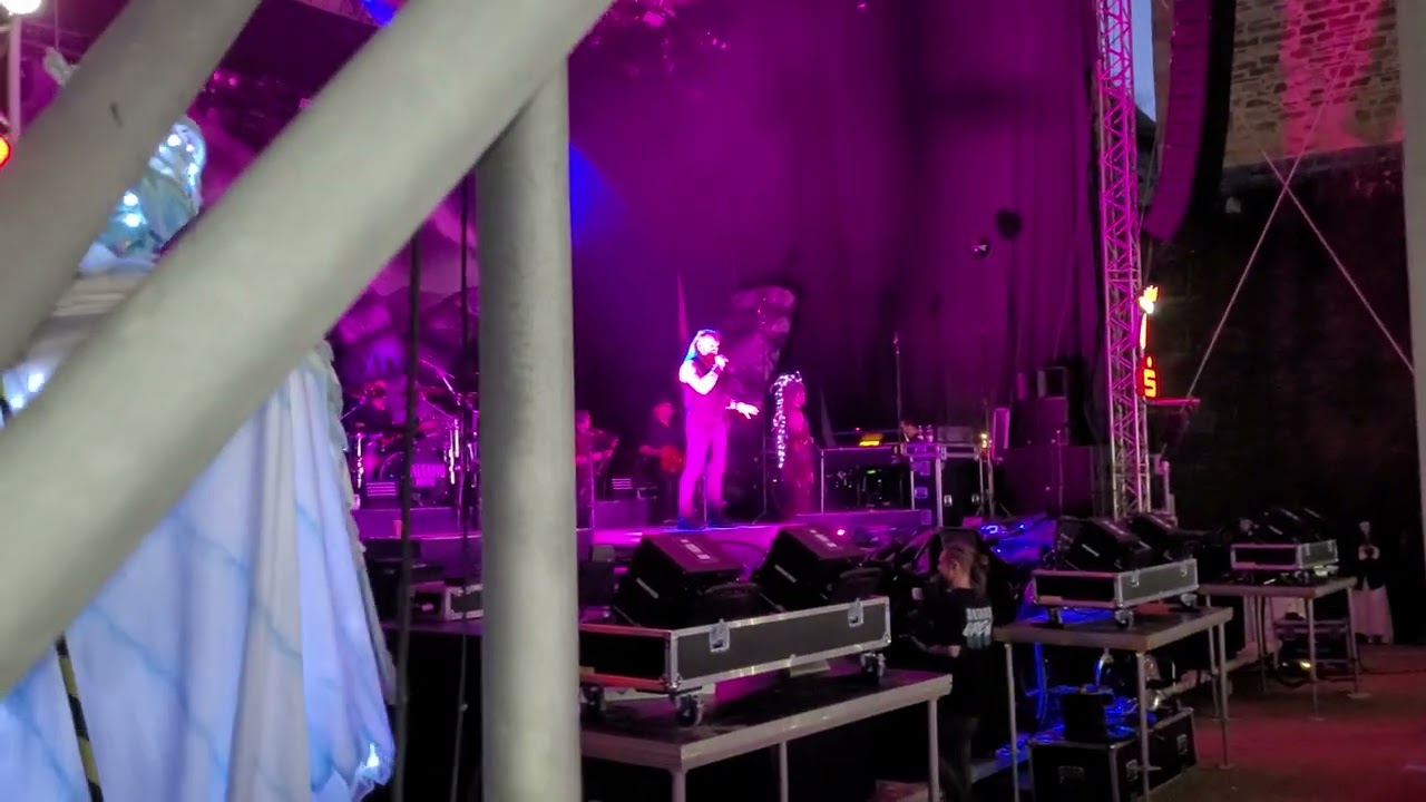 Saltatio Mortis - oh, treues Herz (live@Koblenz2024)