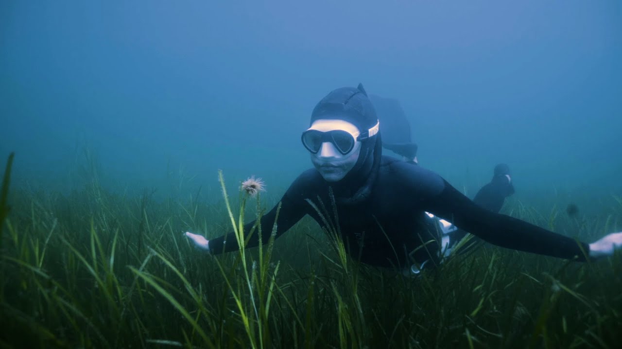 BBC Earth - Invisible Heroes Ep.1 - Seagrass
