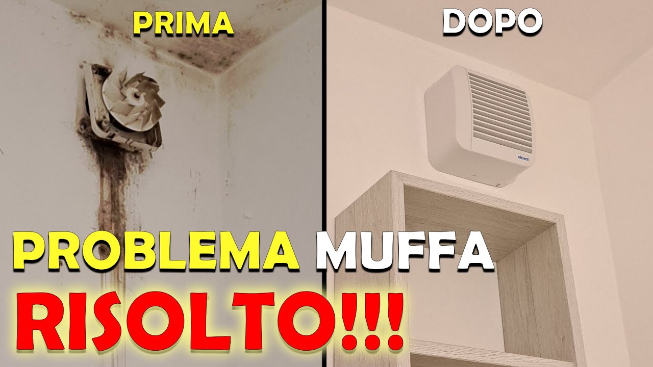 Problema muffa, ecco come ho risolto.